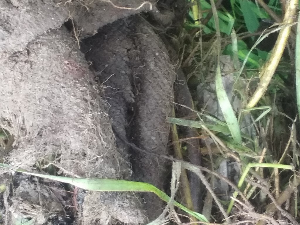 Christopher Greaves SecondEssays_20240606_153132.jpg